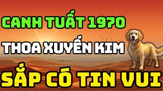 Tuổi Canh Tuất 1970 Là Người Có Phúc Có Phần, Về Già Hưởng Lộc Tổ Tiên Nếu Biết Sớm 8 Điều Này