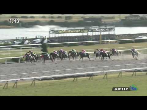 アポロケンタッキー