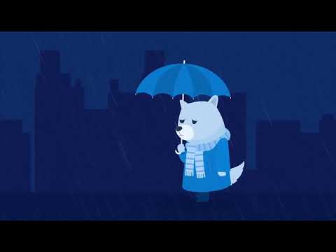 Sad dog walks in city rainy weather