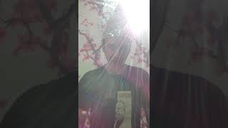 The Light Pours Out of Me Peter Murphy song