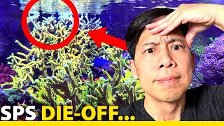 YEP. IT'S HERE. SPS die-off, lol. (is this what you were waiting for?)