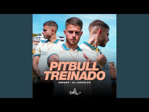 Pitbull Treinado