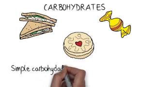 Biology - Diet: Science Exam Tips