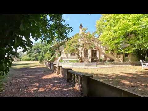Elena hostel tandil buenos aires , casa del arbol !!