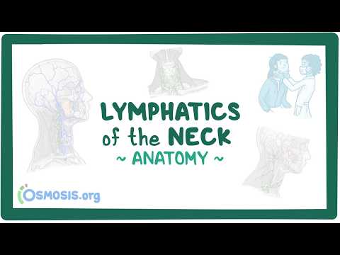 Giải phẫu hệ thống bạch huyết vùng cổ (Anatomy of the lymphatics of the neck)