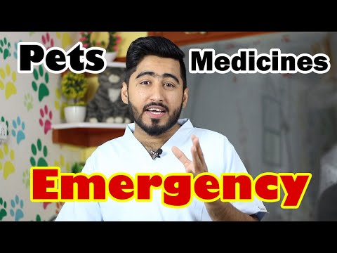 List: Emergency medicines used in pets || Pet health medicines || Vet Furqan Younas