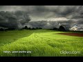 New Model Army - Green And Grey (Lyrics)