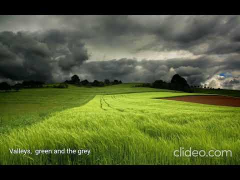 Green & Grey - New Model Army