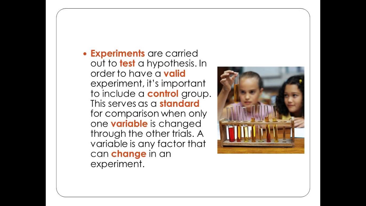 Scientific Inquiry Review