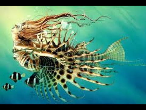 L'ivresse des profondeurs