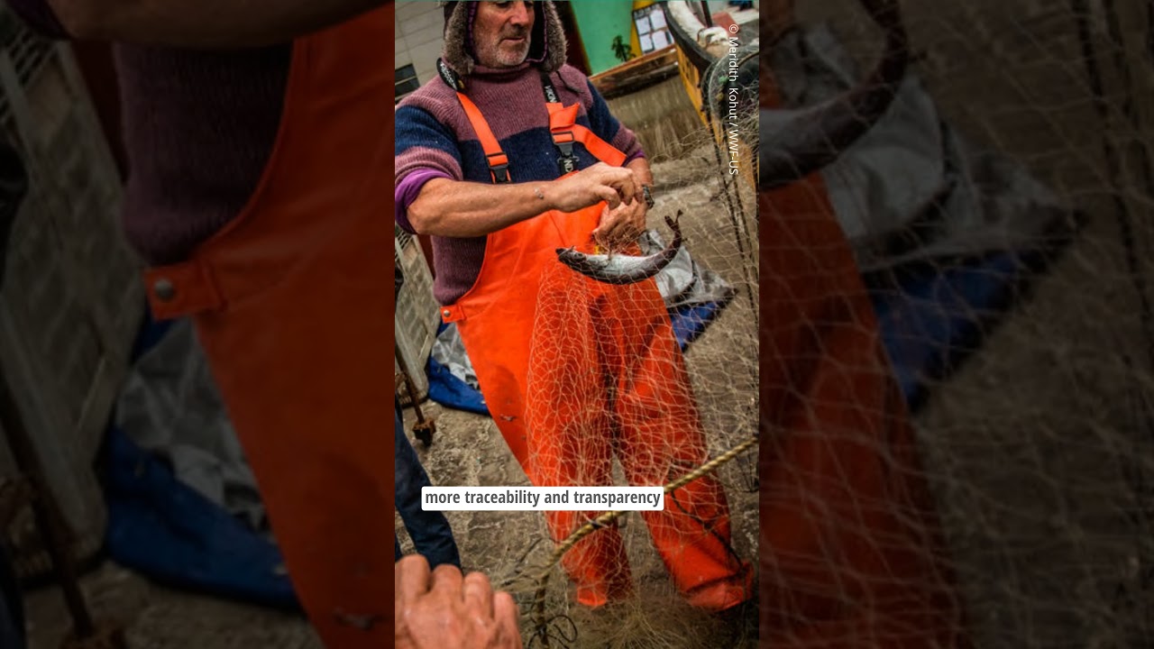 Nature Breaking #podcast clip: Rethinking seafood