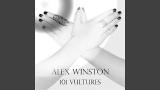 101 Vultures (Magic Man Remix)
