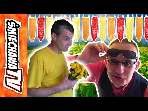 Antek's date "at his brother-in-law's" - Video Joke