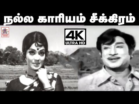 Nalla kariyam song நல்ல காரியம் சீக்கிரம்... MSV இசையில் TMS, P.சுசிலா பாடிய தெம்மாங்கு பாடல்