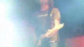 between the trees story of a boy