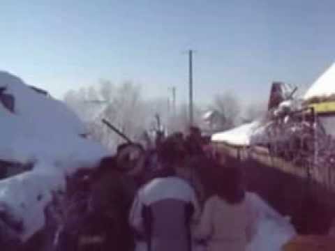 ursi costisa 2012-2013