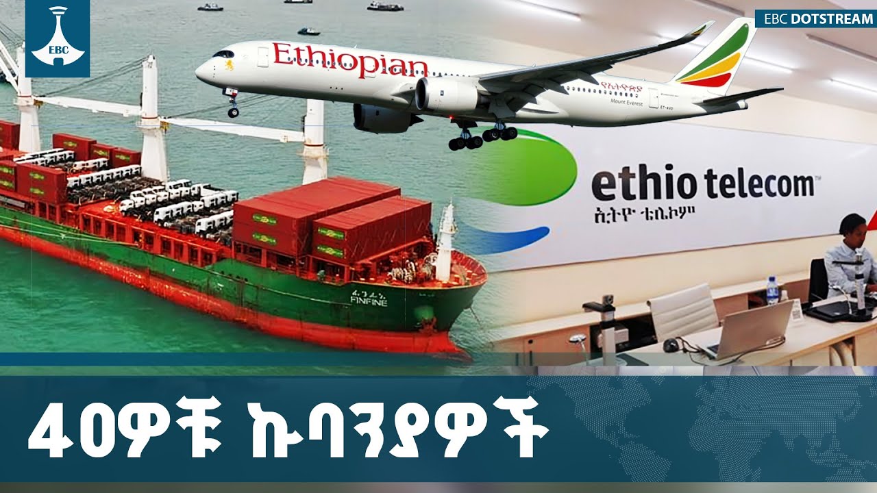 40 ግዙፍ የመንግስት ኩባንያዎችንም በስሩ ያያዘው የኢትዮጵያ ኢንቨስትመንት ሆልዲንግ?