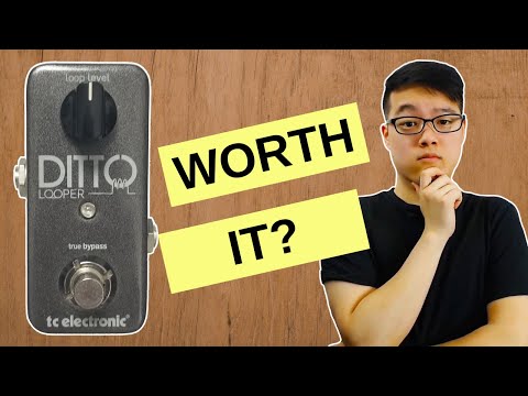 TC Electronic Ditto Looper Review (Watch This Before You Buy)