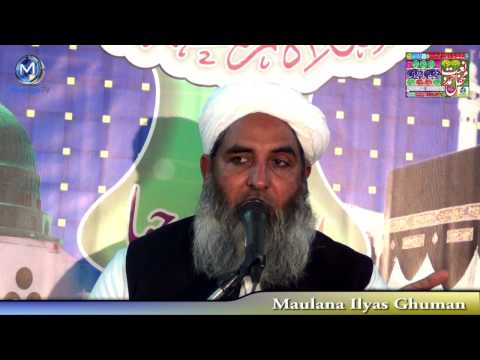 [Clip] Dogs perfection کتّے کی کاملیّت Maulana Ilyas Ghumman