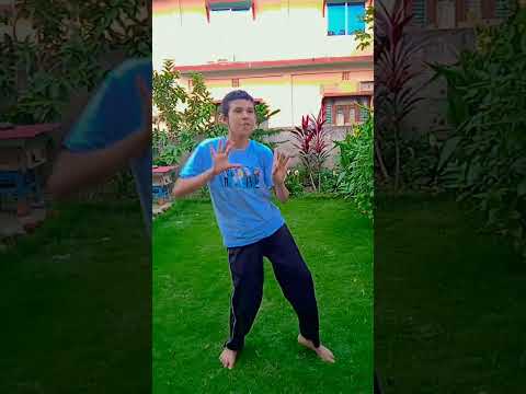 shake it to max.#dance #hiphop #dancemoves #dance lover swornim 🧿