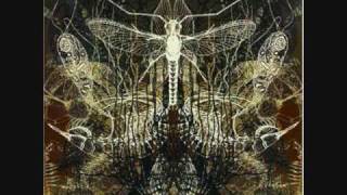 Architects-Ruin-Sail This Ship Along