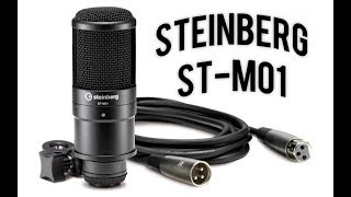 Video thumbnail for Steinberg ST-M01 Condenser Microphone Demo Review - Budget Podcasting and Voice Over by Obscure Mics