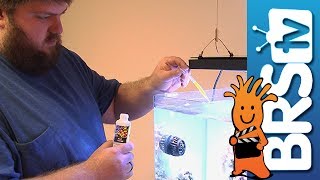 Red Sea Reef Energy: Product Spotlight