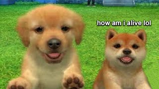 checking on my nintendogs after 10 years