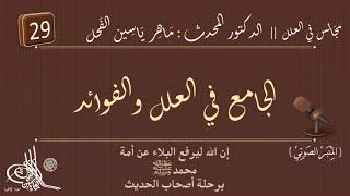 29 - شرح الجامع في العلل والفوائد : المجلد الأول من الصفحة ٣١١ || ماهر ياسين الفحل image