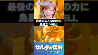 英傑たち大集結で胸熱すぎた！ #ブレワイ #ゼルダの伝説ブレスオブザワイルド #shorts
