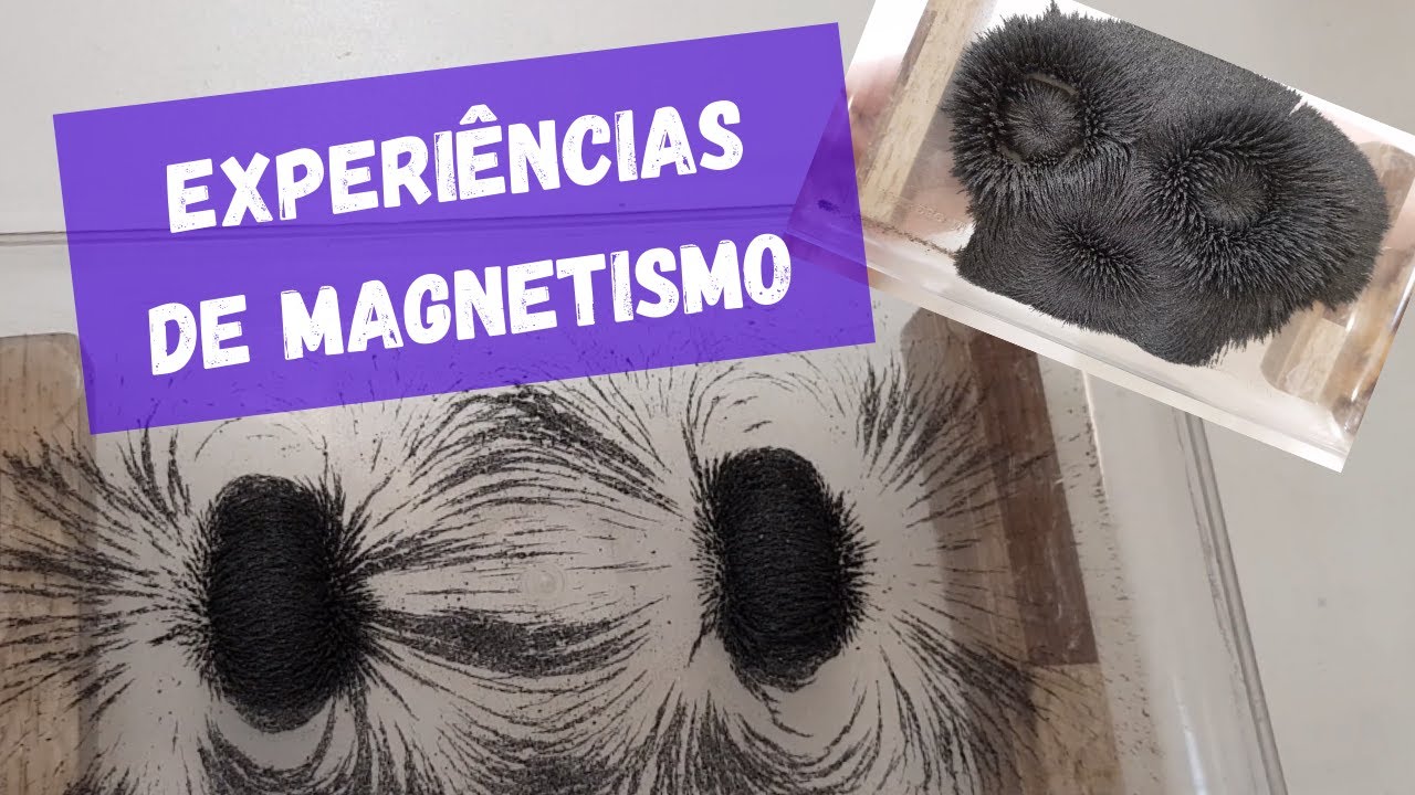 Low Cost Magnetism Experiments