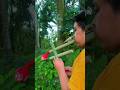 The Plate Broke In An Instant Crafts Bamboo Bamboo1