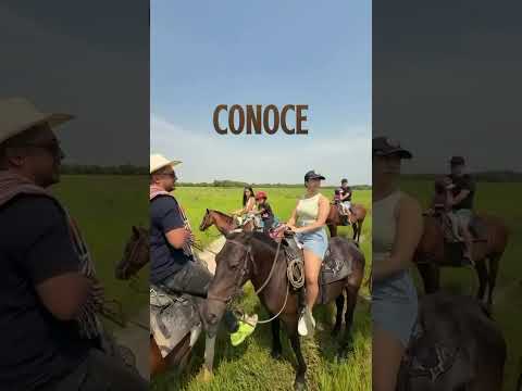 Cabalgatas Gramalote en nuestras 2 sedes via a puerto lopez Meta #caballos#cabalgata