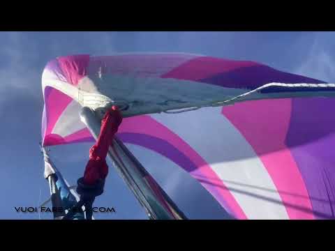 Rolla Gennaker Bamar Evo8