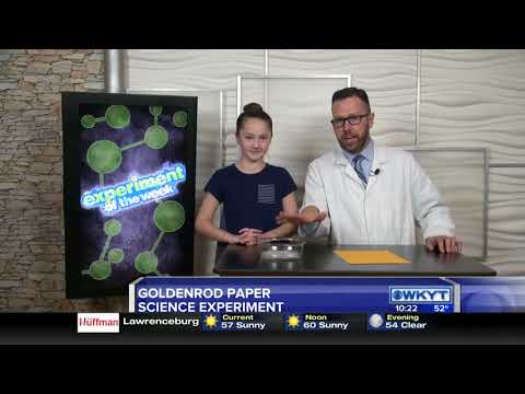 Jason Lindsey - Goldenrod Paper Experiment