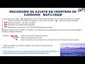 Normas Ambientales Europeas. Novedades. Aplicacin del Reglamento Deforestacin y del Mecanismo de Ajuste de Carbono en Frontera