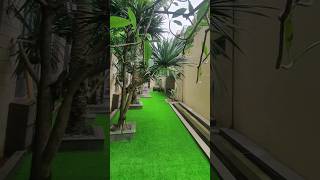 Download lagu Is the grass at your house dry out in this hot summer? Try using synthetic grass. mp3 Download lagu Is the grass at your house dry out in this hot summer? Try using synthetic grass. mp3