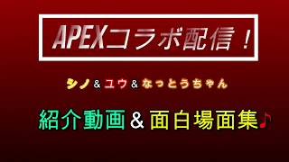 APEXコラボ配信(シノ＆ユウ＆なっとうちゃん)の紹介＆面白場面集！