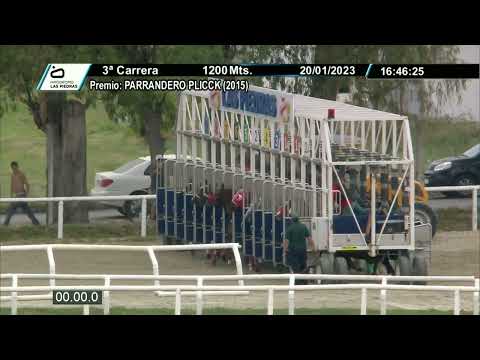 230120 c03 - GLORIOSA LILITH - HIPODROMO LAS PIEDRAS