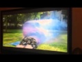 Best Scene From Ghost Shark EVER