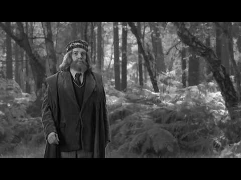 Discworld Tourist Guide Part 7 - Flora & Fauna