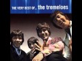 The Tremeloes - Suddenly You Love Me 