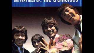 The Tremeloes -  Suddenly You Love Me