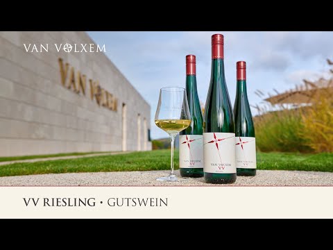 Weingut Van Volxem - Riesling VV