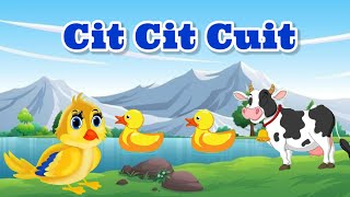 Cit Cit Cuit||Lagu Anak-Anak~Lagu Anak~Lagu Anak Indonesia~Lagu Anak Populer~Lagu Anak Terbaru