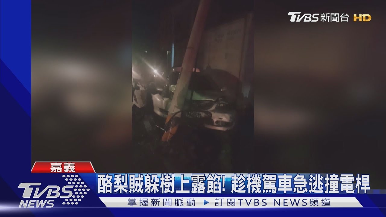酪梨賊躲樹上露餡！　趁機駕車急逃撞電桿