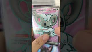 Cinccino Ex #pokemon #pokemoncards