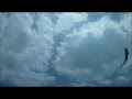 Sailing Poem Of Scott Nadi Gray Copyright 2013 All Rights Reserved
