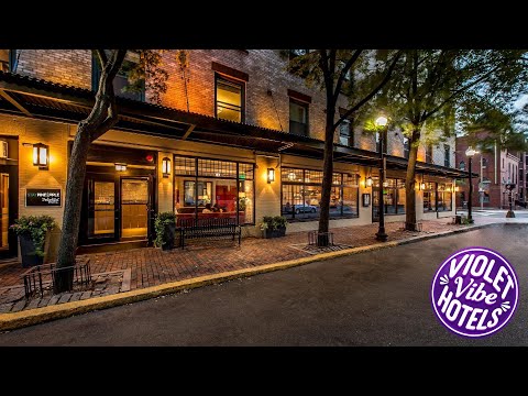 Staypineapple, A Delightful Hotel, South End | Boston (MA), United States | Hotel Review 🏩
