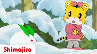 Hannah and the Snow Rabbit ❄️🐰 Friendship | 24 Minute Compilation | Kids video for Kids | Shimajiro